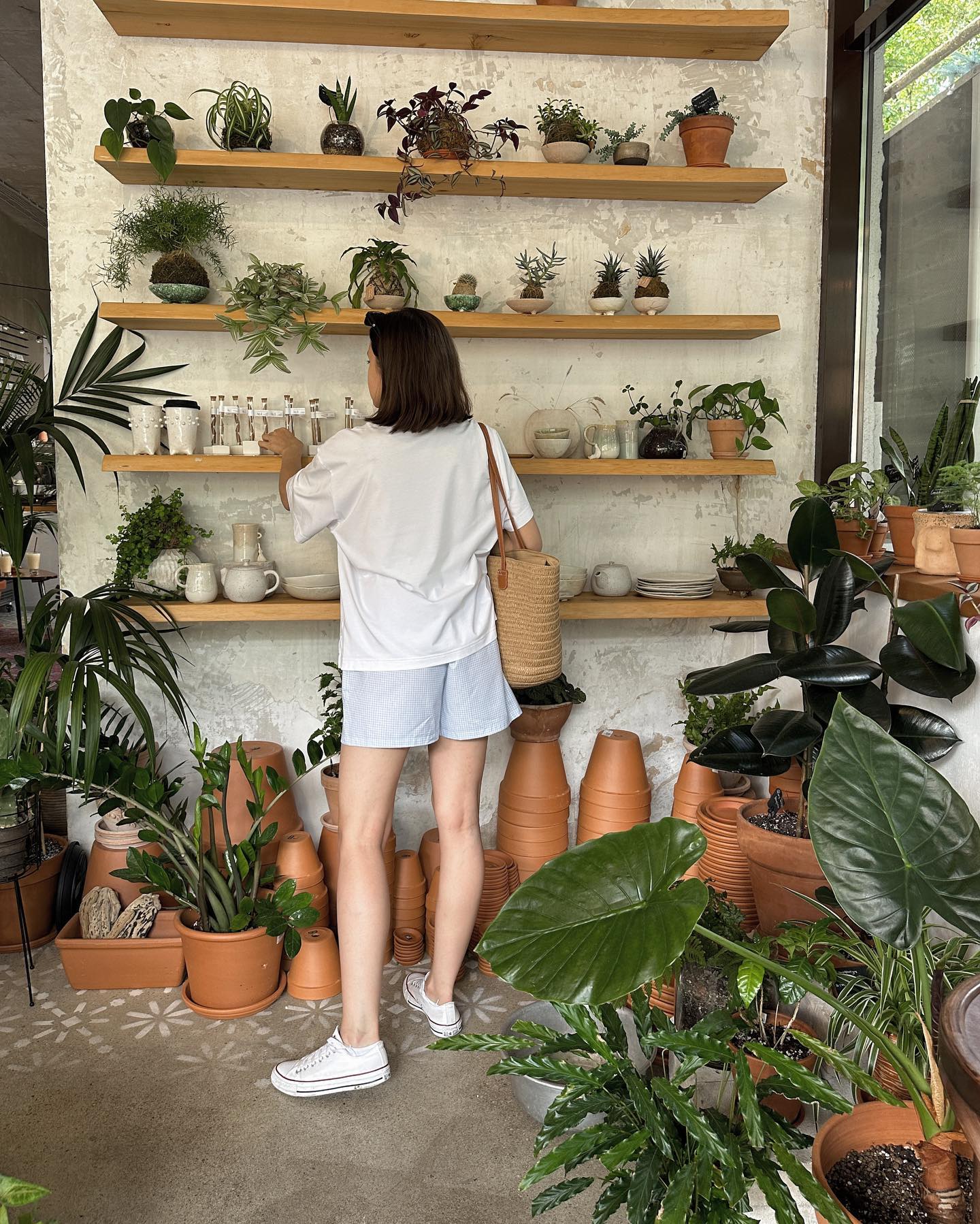 Embracing the Importance of Plants at Home